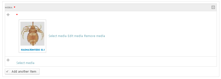 ../_images/SelectMedia2.jpg